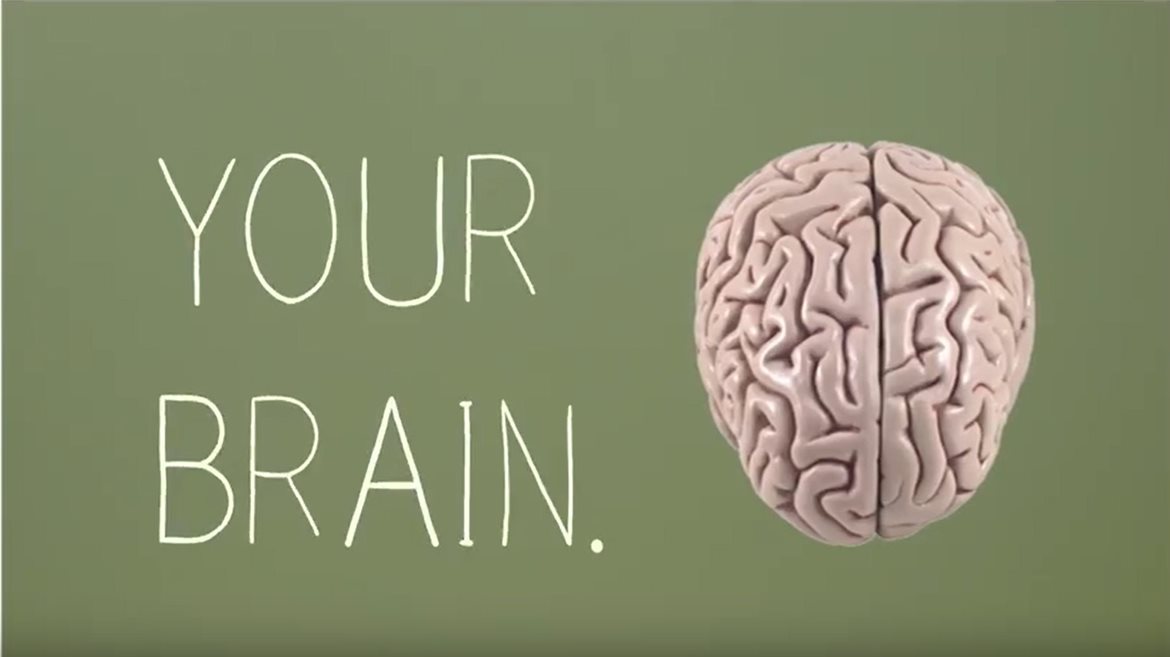 Dr. Lynne Murfin Weighs In on The Brain