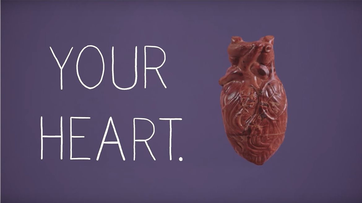 The Heart: The Engine of Your Body